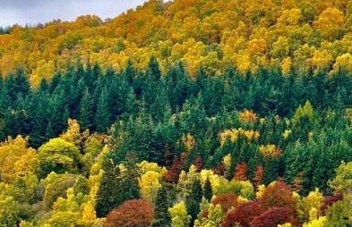 Riverside Lodge in Killiecrankie - Foto 14