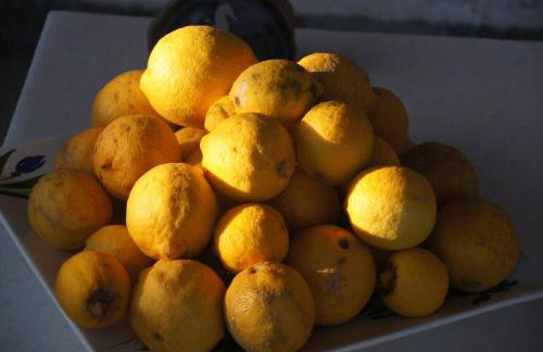 Villa Desiree - Foto 9