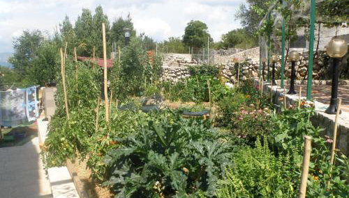 Villa Roze - Photo 4, Garden