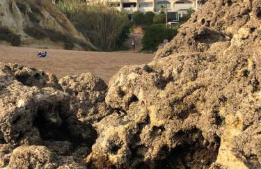 magnifique appartement sur la plage ... - Foto 34