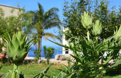 Anna's Stone House - Foto 19