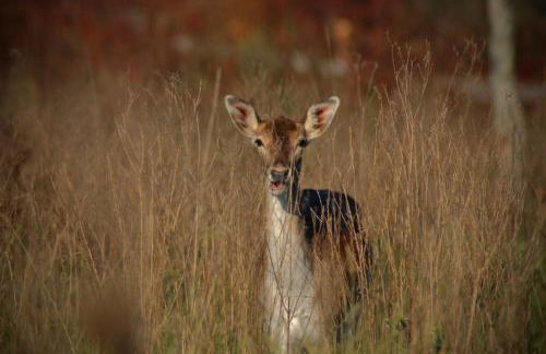 Agriturismo I Leprotti - Photo 63