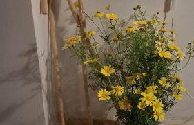 Maison de vacances pour 6 personnes - Photo 62