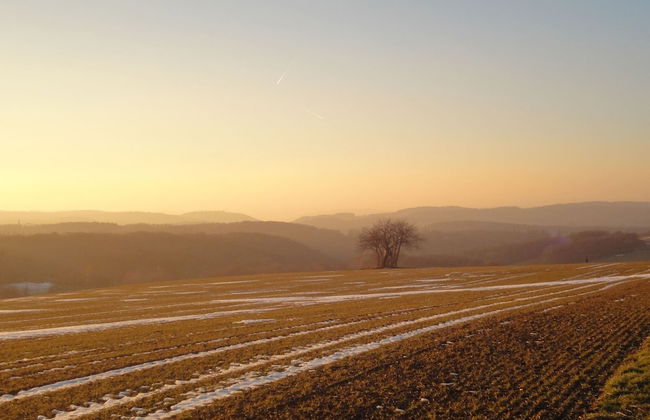 Holiday Home Moselle With Private Sauna - Photo 22