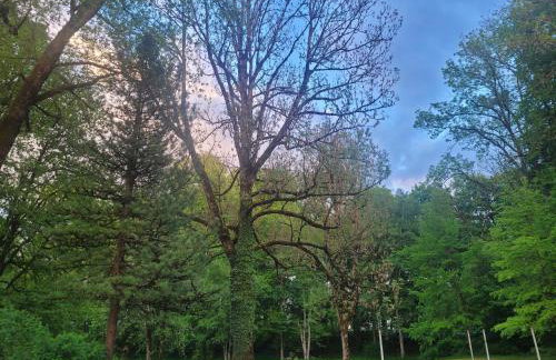SchlossNest Isny - Denkmal Kultur Park Stadt - Foto 39