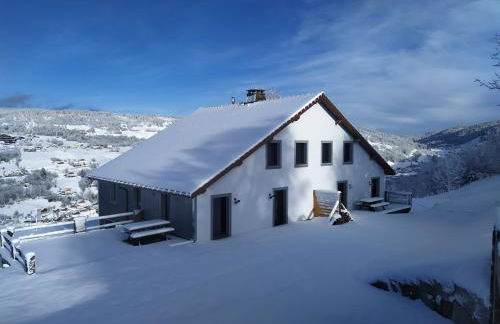 Gîtes de Moyenmont - Foto 49