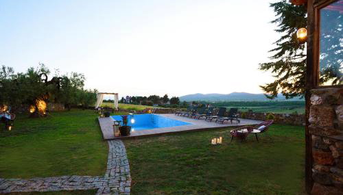 Los vagones - Foto 4