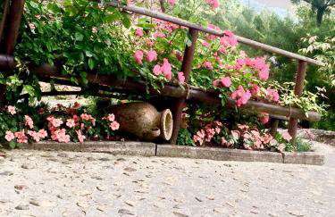 Apartments Dajčić - Foto 58