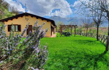 Il Vigneto - Foto 10