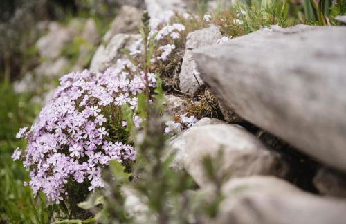 CHALET MARLENE - Ferienhaus - Foto 47