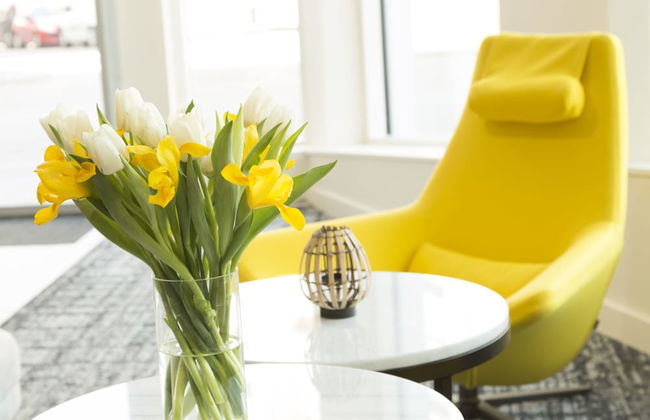 Appart'hôtel Odalys City - Le Mans Centre Palais des Congrès - Photo 2