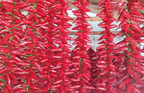 Villettemire - Foto 28