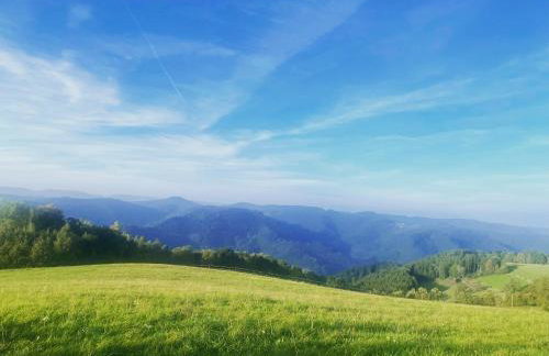 B71 - Appartement im Herzen des Schwarzwalds - Foto 16