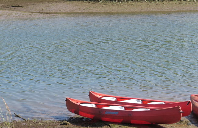 El Solar del Mazo - Foto 20