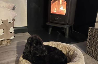 Caban Y Tan Ffawydd Luxury couples retreat with private Wood Fired Hot Tub - Foto 17