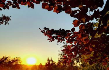 Quinta de S. Vicente 317 - Foto 59