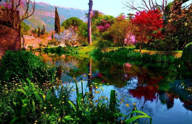 Cincinnato Wine Resort - Foto 26