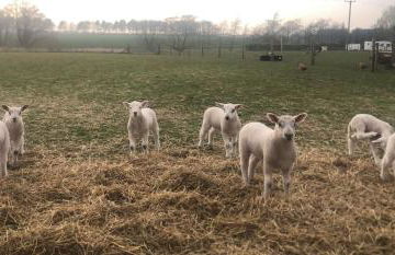 The Farm Burscough - Foto 17