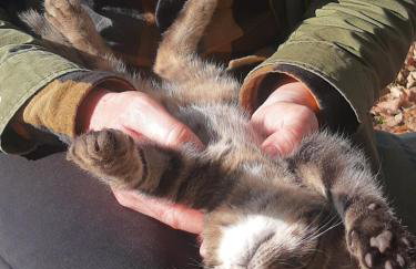 Gierszówka Smak&Relaks - Foto 20