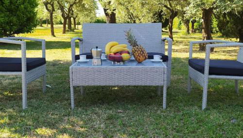 Casolare L'Antico Olivo - Foto 3