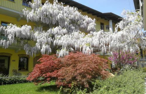 Agriturismo Tra Serra e Lago - Foto 6
