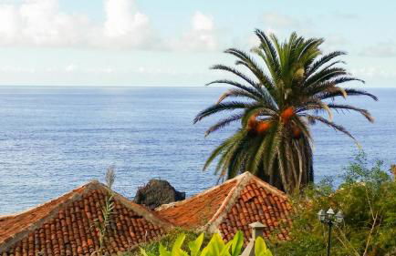 Alenes del Mar - Foto 40