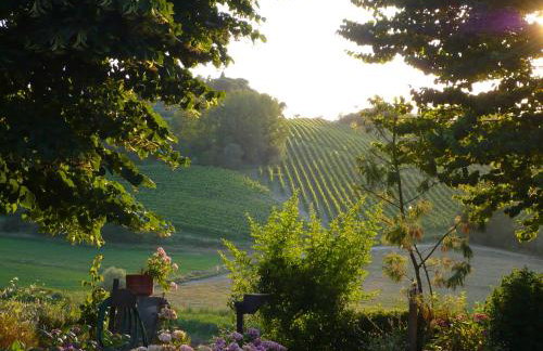 Podere Sionne - Foto 54