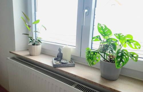 FeWo Lichtblick - Foto 26