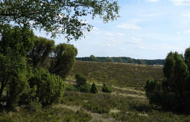 Holiday Home in Wietzendorf With Terrace - Foto 16