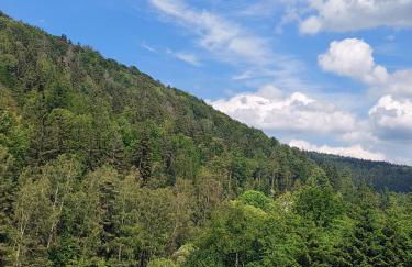 Ferienhaus Rosemarie Erlbach Vogtland - Foto 12