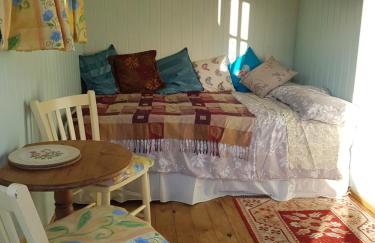 Shepherds hut Dolly wagon - Foto 1