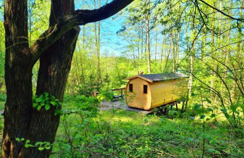 Siedlisko Rogówko: Dom Drwala - Foto 12