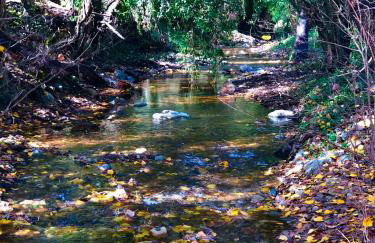 ALOJAMIENTO RURAL EL CASTAÑO - Foto 69