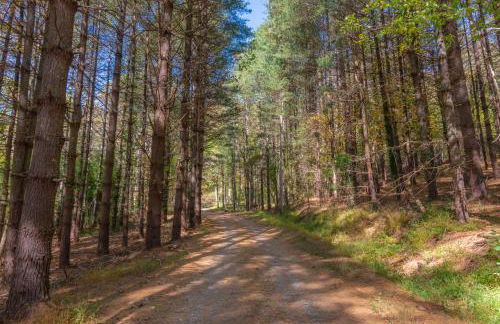 Hot Tub, Fire Pit Waynesville Getaway Near Hiking - Foto 39