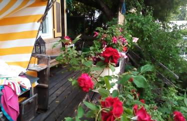 Ferienwohnung am Walnussbaum - Foto 14