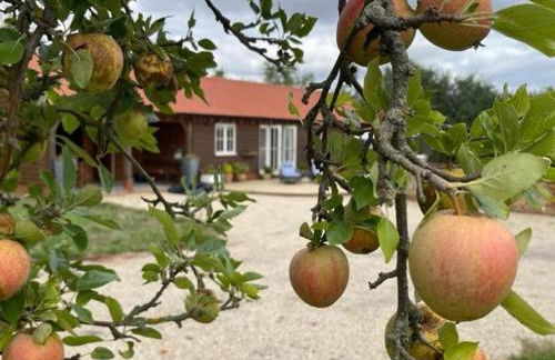 Walnut Tree Cottage Barn - Foto 1