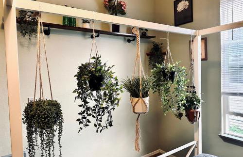 Mr. McGregor’s Garden - Foto 14