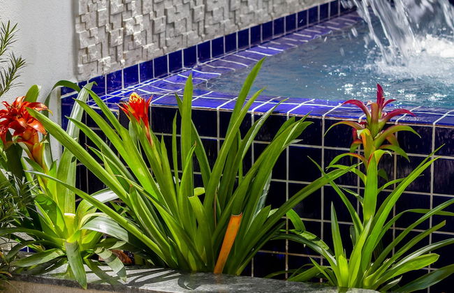 Calamar Flats Paraty - Foto 31