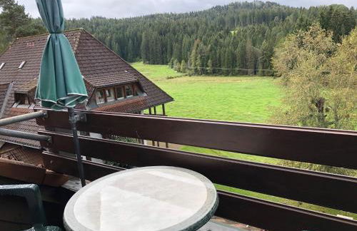 Ferienwohnung Hochschwarzwald - Foto 19