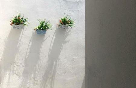 Dimora nel Salento a 40MT dal mare - Foto 10