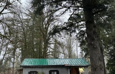 Glacier Peak Resort and RV Park - Foto 16