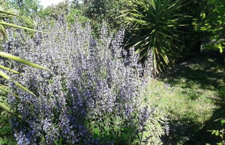 Atelier dei Ciliegi - Foto 24