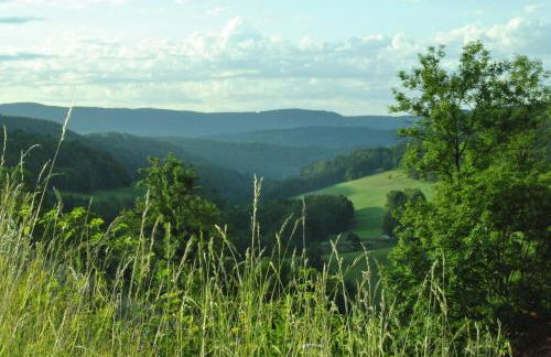 Gasthaus Kranz - Foto 15