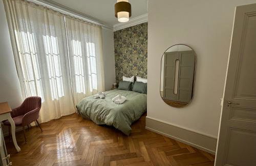 LE LYNX HAUSSMANIEN appartement tout confort, climatisé avec parking privé, à deux pas du centre - Foto 24