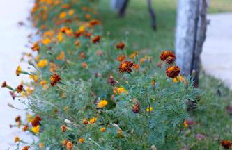 Casa Velha - Foto 19