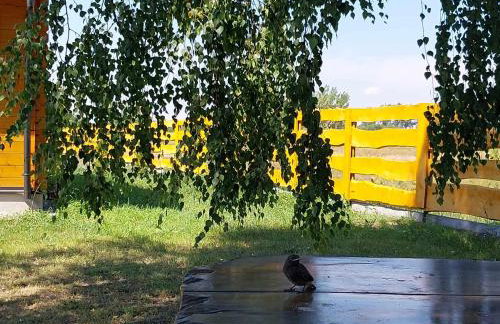 Drewniany Zakątek z sauną i jacuzzi - Foto 37