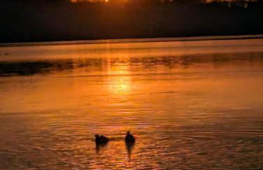 Ferienhaus am See mit Ruderboot - Photo 56