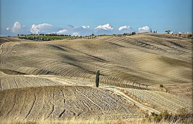 Vento Dorcia - Foto 34