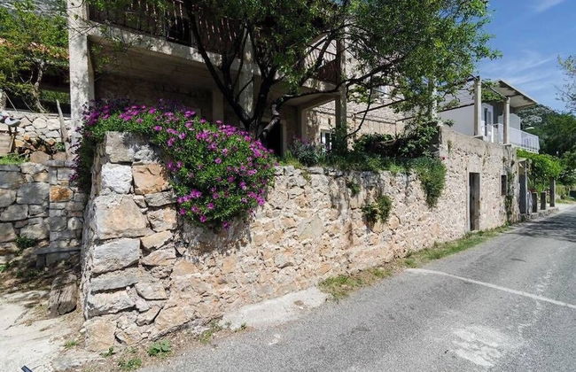 Apartments Felix Mljet - Foto 28