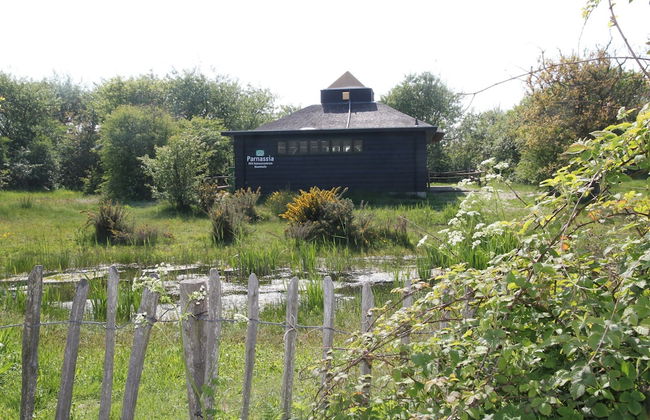 Holiday Home Bergen Near Beach & Dunes - Photo 16